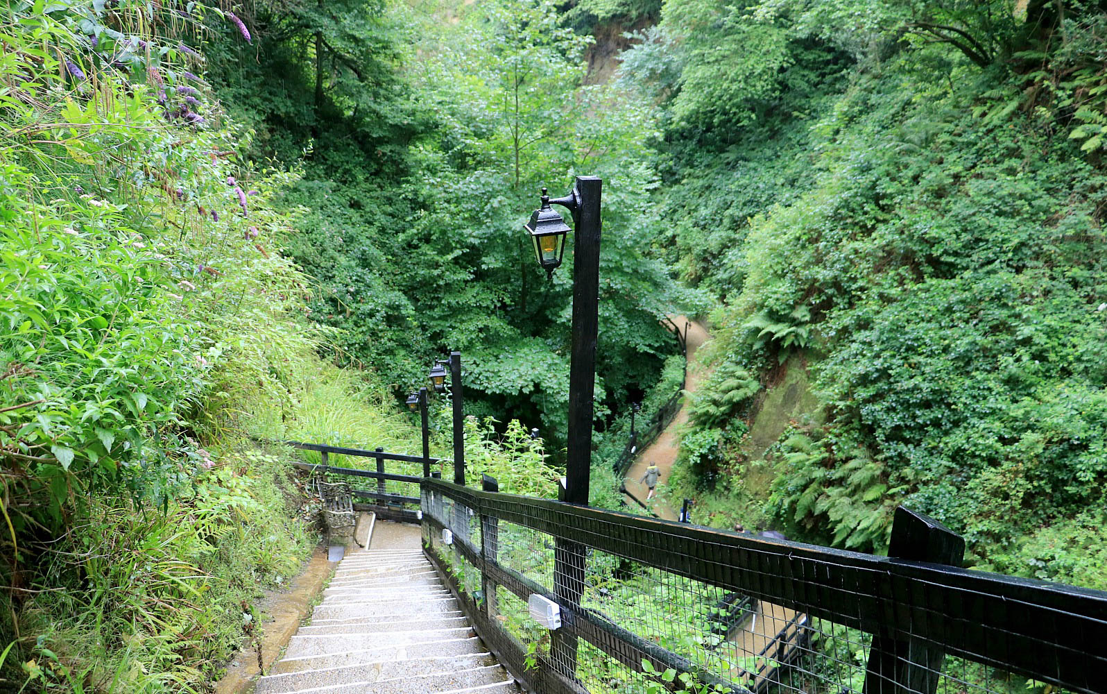 Shanklin Chine: A geological wonder - PODcast